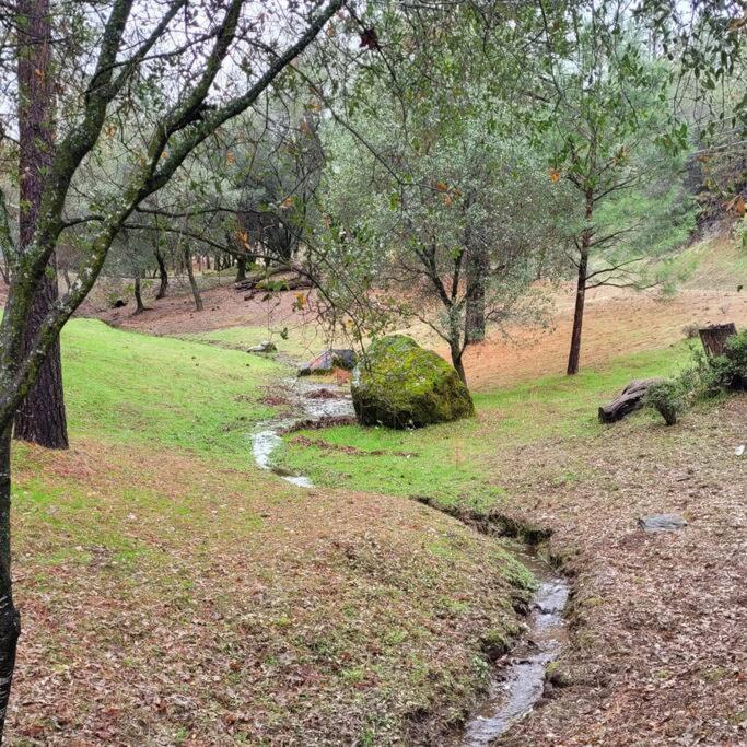 Home In Groveland Near Yosemite Np Εξωτερικό φωτογραφία